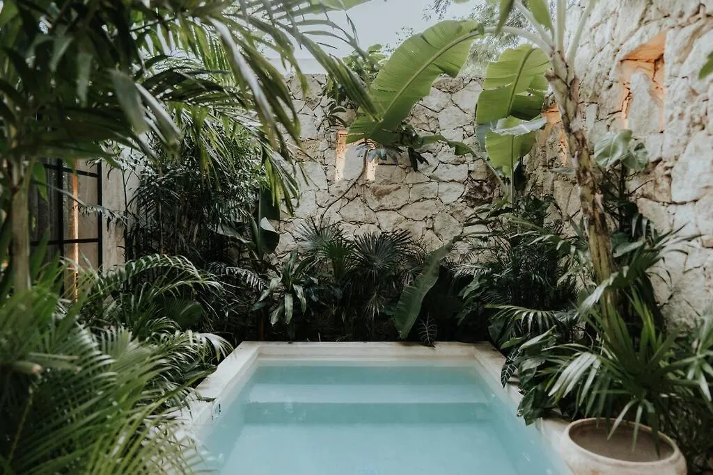 Tropical Design Dream With Private Pool Appartement Tulum Pueblo